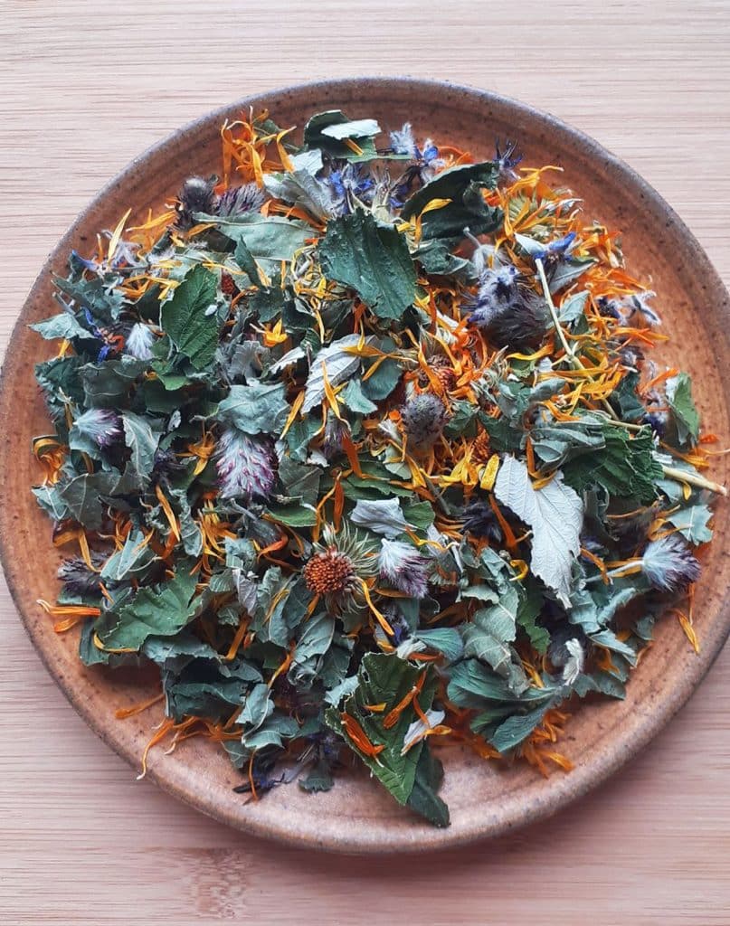 Rester en forme cet hiver : 10 conseils naturels et pratiques