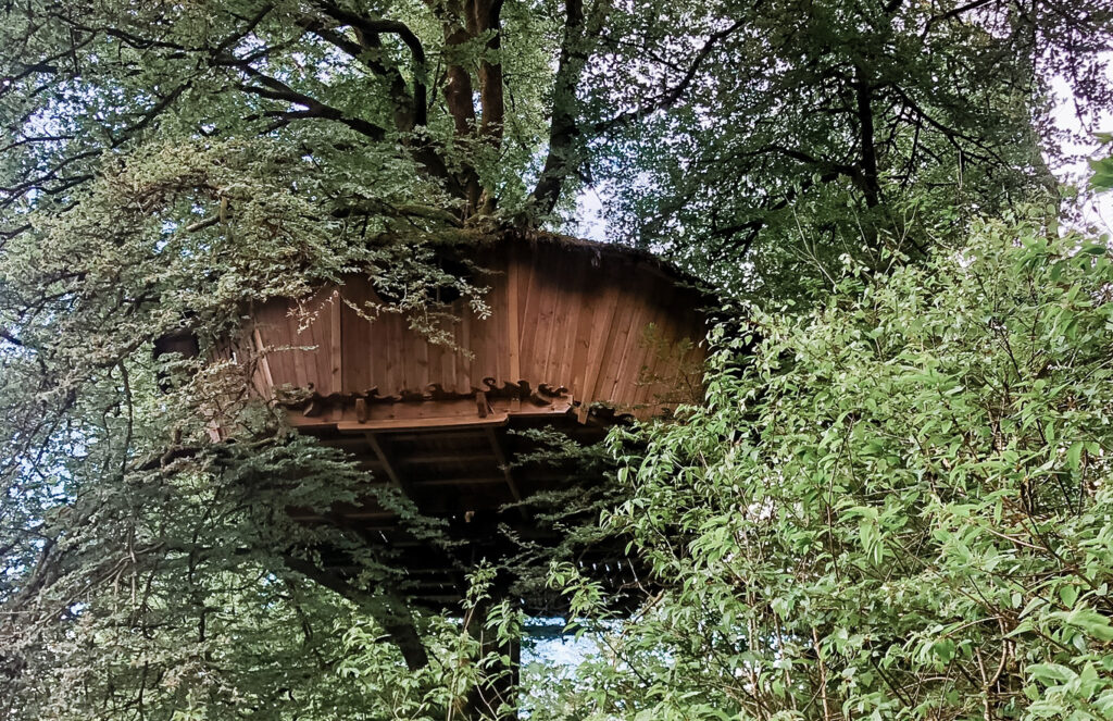 Voyager autrement en Bretagne : entre cabanes dans les arbres, producteurs locaux et slow tourisme