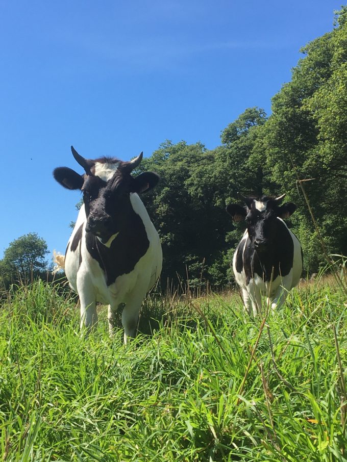 Ferme de Rhun Izella