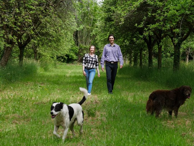 Cidrerie Les Vergers de Kermao - promenade dans le verger