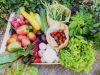 Ferme de la Clef des Garennes - panier de légumes
