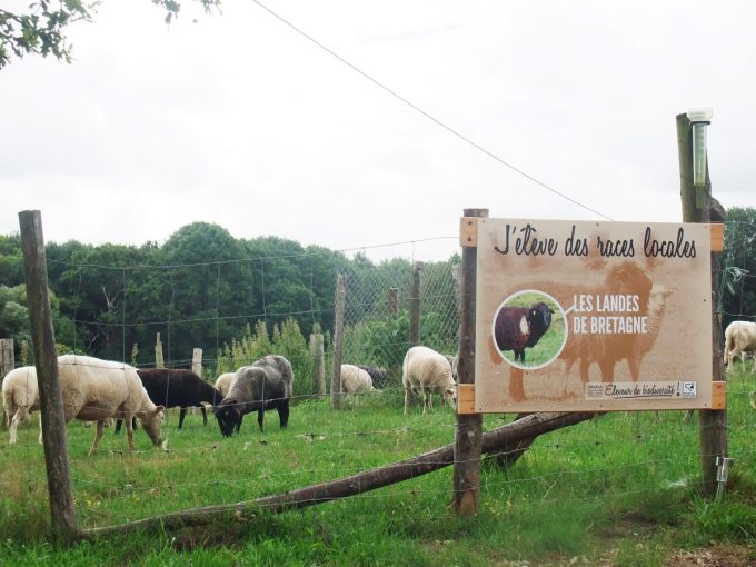 Ferme du Vallon de Toulan