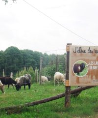 Ferme du Vallon de Toulan