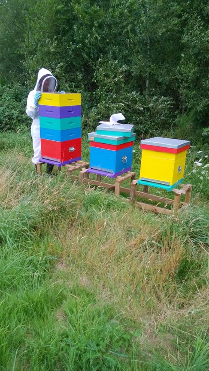 Bee'Flora - ouverture de ruches