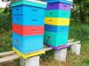 Bee'Flora - ruches rehaussées