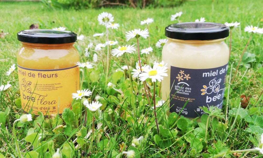 Miel de printemps : bienfaits, goût, récolte… on te dit tout !