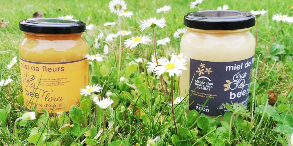 Miel de printemps : bienfaits, goût, récolte… on te dit tout !