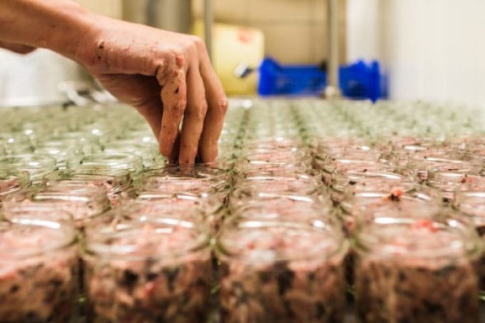Charcuterie Henriette - mise en conserves