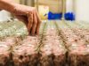 Charcuterie Henriette - mise en conserves
