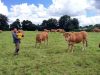 La Ferme de Langoat - photo de famille