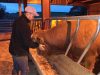 La Ferme de Langoat - céréales et foin