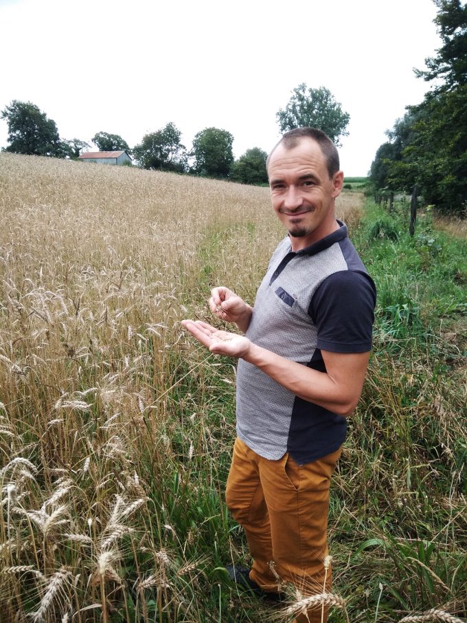 Atelier des Pains - contrôle de maturité du grain
