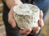 Bergerie des Abers - délicieux fromages de brebis