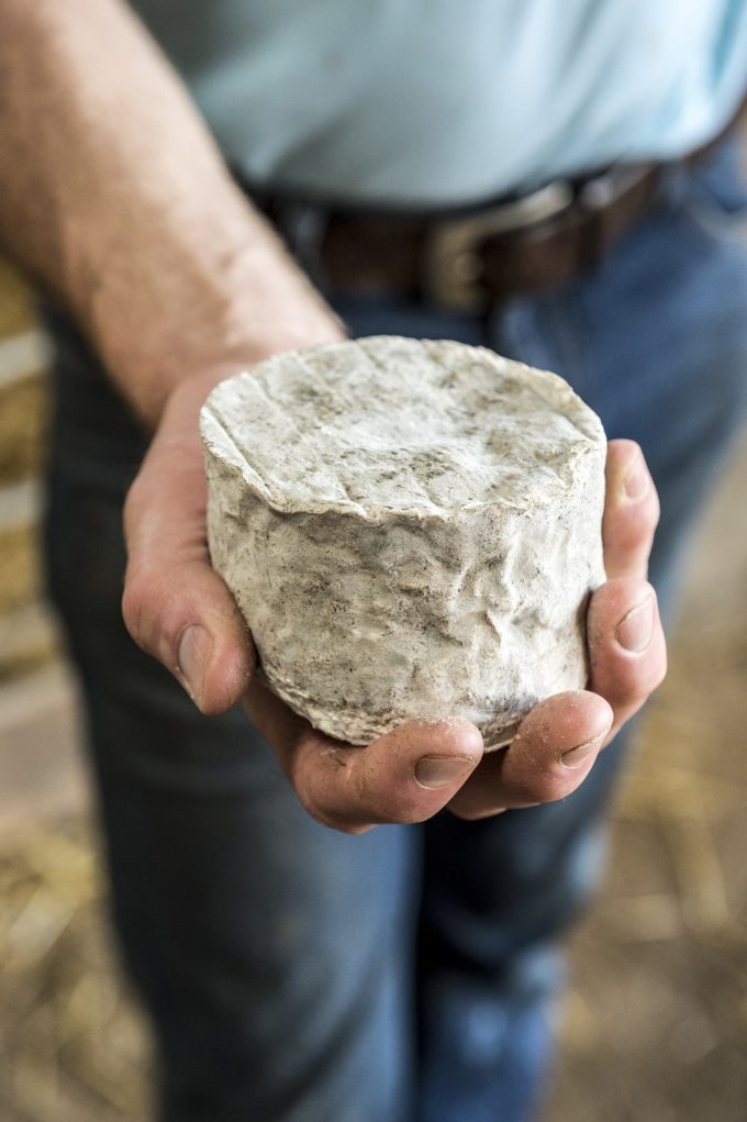 Bergerie des Abers - délicieux fromages de brebis