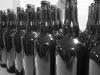 Brasserie de l'Estran - embouteillage