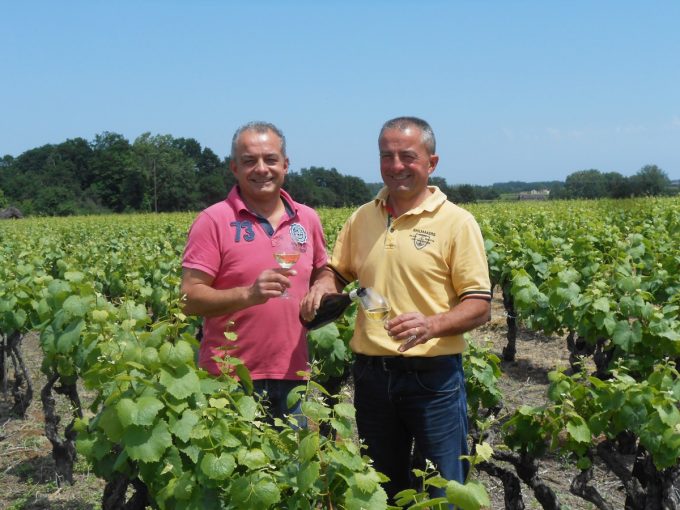 Domaine Martin-Luneau - Thierry et Christophe MARTIN dans le vignoble
