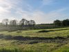 Ferme Breizh Uhel - nos pâturages