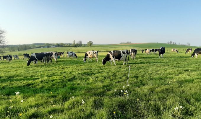 Ferme Breizh Uhel
