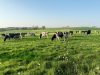 Ferme Breizh Uhel