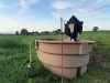 Ferme Breizh Uhel - abreuvoir
