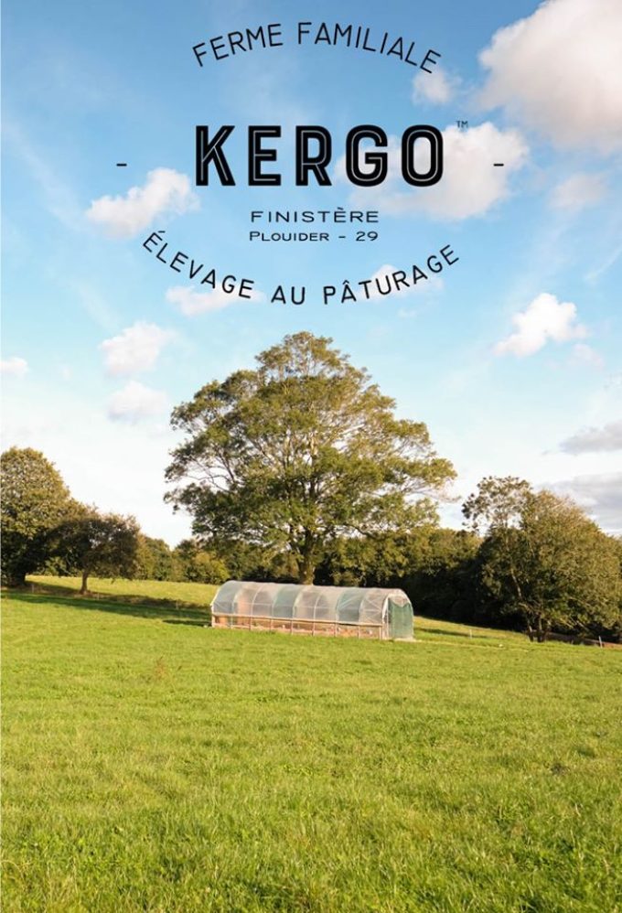 Ferme de Kergo - élevage au pâturage