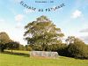 Ferme de Kergo - élevage au pâturage