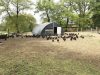 Ferme de Kerouatz - volailles de plein air