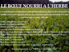 La Ferme de La Vallée - le boeuf nourri à l'herbe