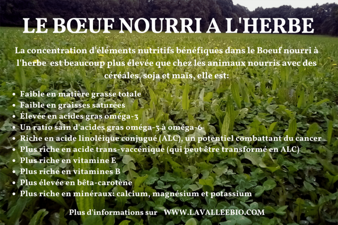La Ferme de La Vallée - le boeuf nourri à l'herbe