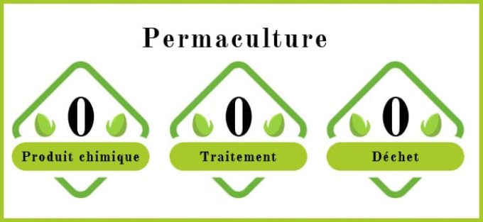 Ferme Douar Mager - permaculture