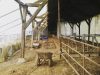 Ferme Douar Mager - culrure sur paille