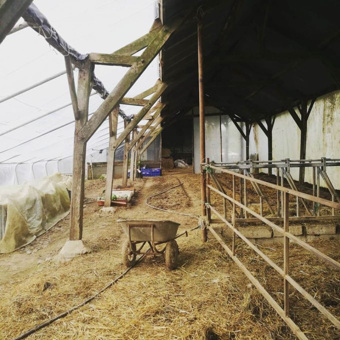 Ferme Douar Mager - culrure sur paille