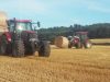 Ferme du Couëdic - paille pour l'hiver