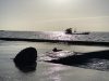 Huîtres Cahue - huîtres de Cancale
