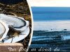 Huîtres Cahue - site internet de vente en ligne
