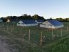 La Ferme de Penhaudan - poulaillers artisanaux