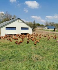 La Ferme de Penhaudan