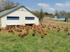 La Ferme de Penhaudan