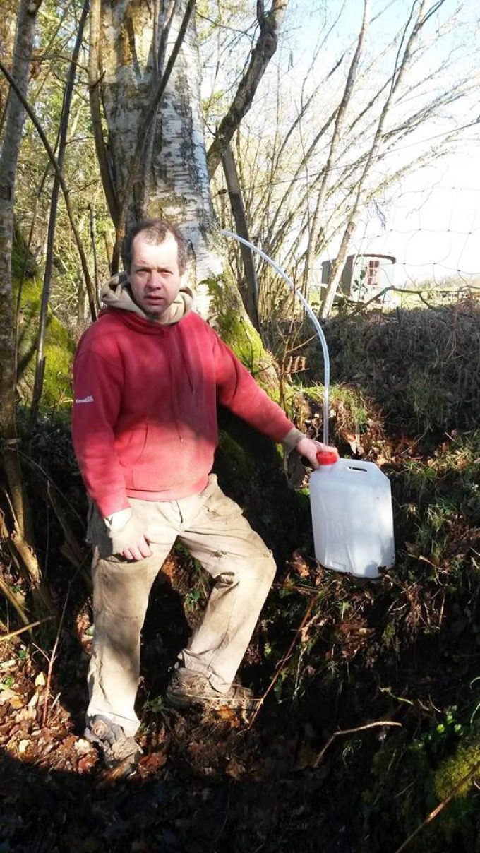 Le Bois du Barde - extraction de la sève de bouleau