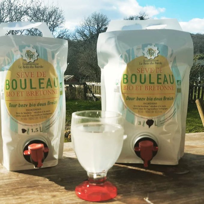 Le Bois du Barde - sève bouleau