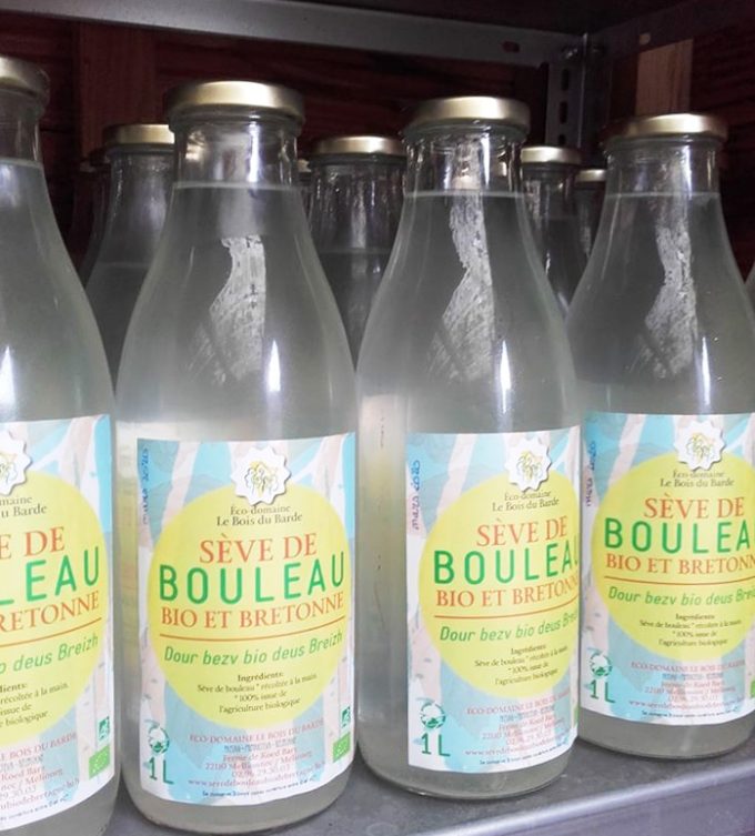 Le Bois du Barde - sève de bouleau en bouteilles