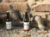 Brasserie artisanale Le Grain du Ponant - bières artisanales