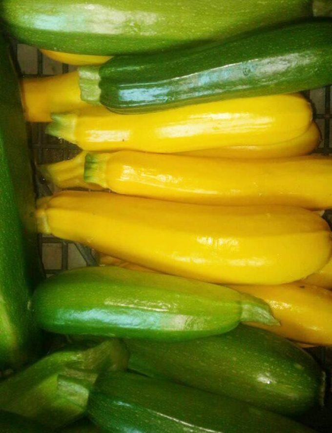Les Biao Jardins d'la Renaud - courgettes