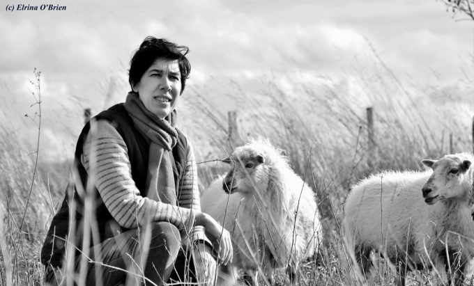 Les Coteaux du Linon - avec des moutons sous les pommiers