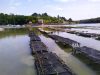 Les Viviers du Belon - les parcs