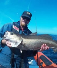 Penn ar Fish