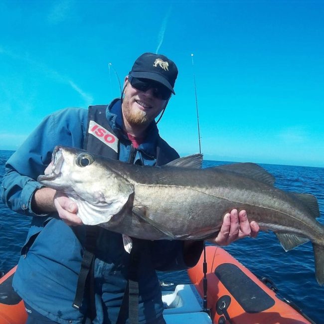 Penn ar Fish