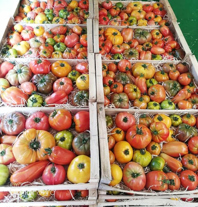 Le Potager de Kergistalen
