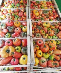 Le Potager de Kergistalen