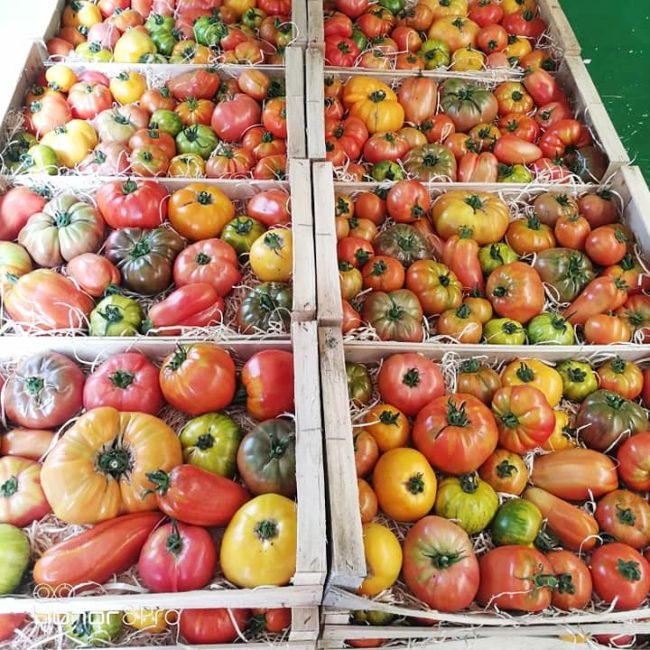 Le Potager de Kergistalen